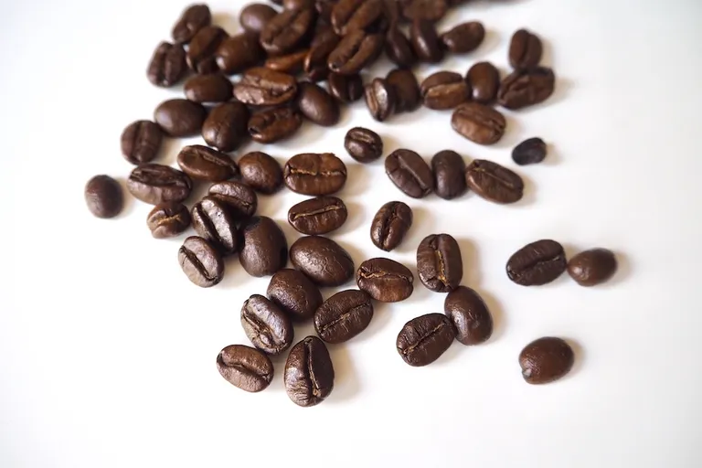 10 Best Arabica Coffee Beans 2026 - Reviews & Top Picks