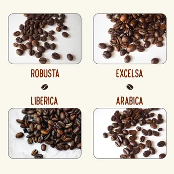 4 Types of Coffee Beans: Profiles, Pictures & More