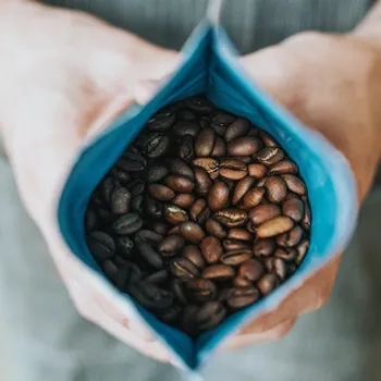 10 Best Organic Coffee Brands 2026 - Top Picks & Reviews