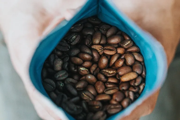 10 Best Organic Coffee Brands 2026 - Top Picks & Reviews