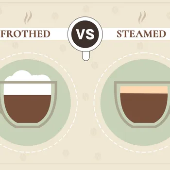 Frothed vs Steamed Milk: The Differences Explained