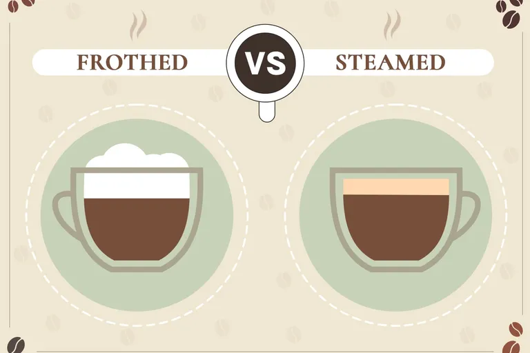 Frothed vs Steamed Milk: The Differences Explained