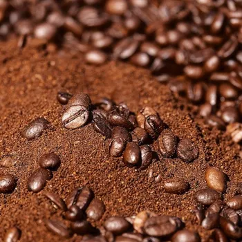 Ground vs Whole Bean Coffee: The Differences Explained