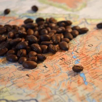 11 Best Coffee Beans in The World - Reviews & Top Picks 2026