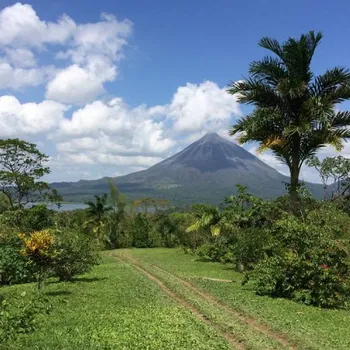 5 Best Costa Rican Coffee Brands in 2026 - Reviews & Top Picks