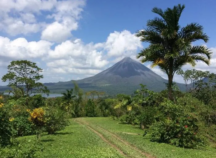 5 Best Costa Rican Coffee Brands in 2026 - Reviews & Top Picks