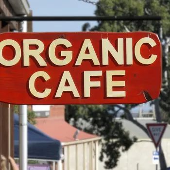 4 Health Benefits of Organic Coffee: Based on Science