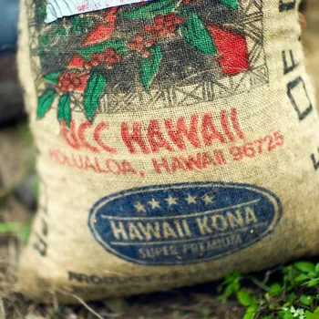 10 Best Kona Coffee Brands of 2026 - Reviews & Buyer's Guide