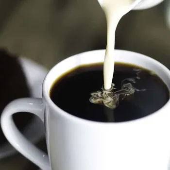 5 Best Coffee Makers under $50 - Reviews & Buying Guide 2026