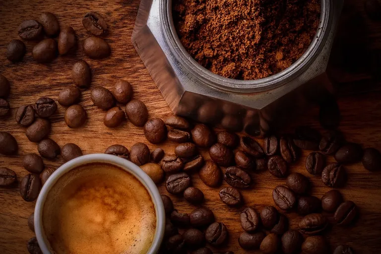 10 Best Gourmet Coffee Brands of 2026 - Reviews & Top Picks