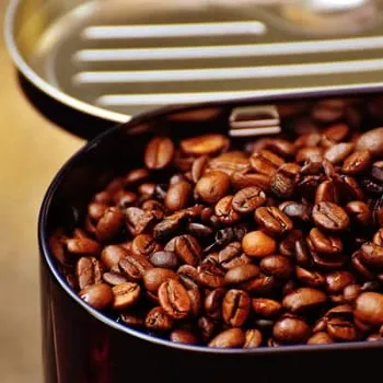 8 Best Coffee Makers with Grinders (Grind & Brew) - Reviews & Top Picks 2026