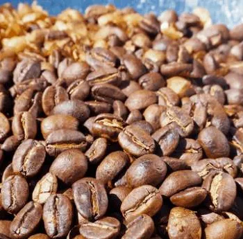 How To Roast Coffee Beans In a Popcorn Popper (Easy Guide)