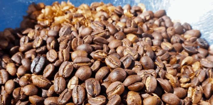 How To Roast Coffee Beans In a Popcorn Popper (Easy Guide)
