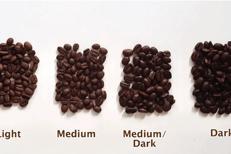 4 Types of Coffee Roasts (Explained With Images)