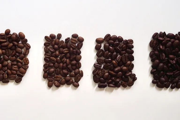 Light Roast vs Dark Roast Coffee: What's the Difference?