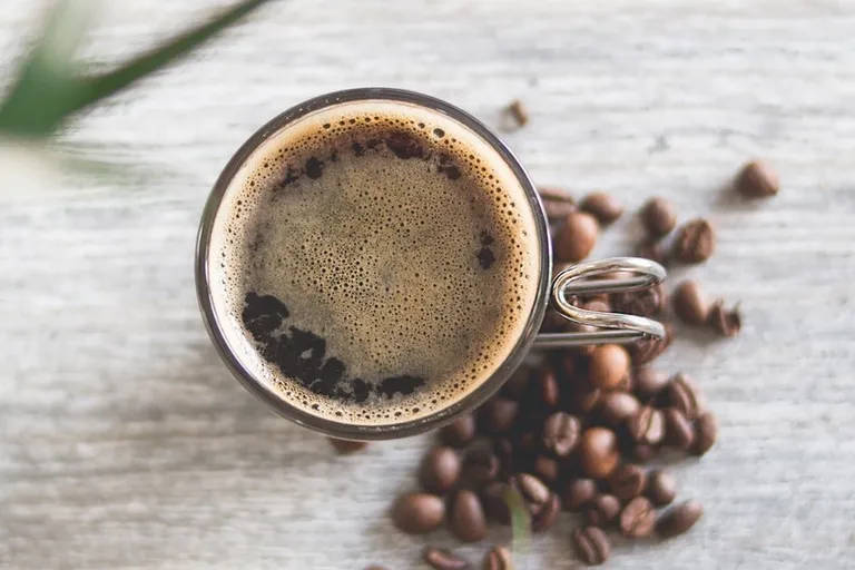 10 Best Flavored Coffee Brands - Reviews & Top Picks 2026
