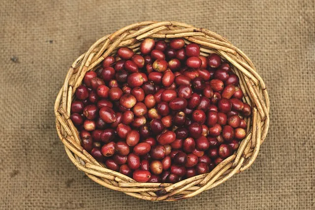 5 Best Sumatra Coffee Brands in 2026 - Reviews & Top Picks