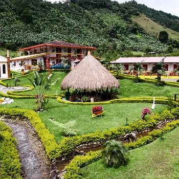 10 Best Colombian Coffee Brands of 2026 - Reviews & Top Picks