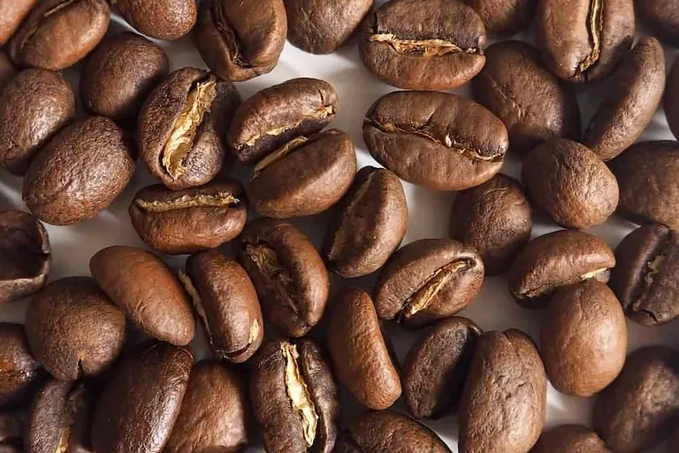 10 Best Light Roast Coffee Brands of 2026 - Top Picks & Reviews