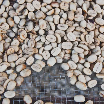 What Is White Coffee? How to Make it & Brewing Tips