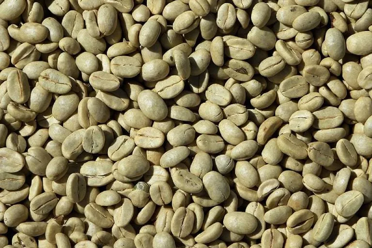 Where's the Best Place to Buy Green Coffee Beans in 2026?