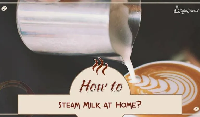 How to Steam Milk at Home: 4 Foolproof Methods