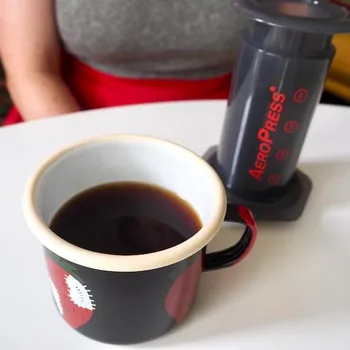 How to Brew AeroPress Coffee Perfectly (With Pictures)