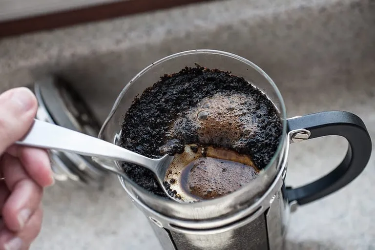 Immersion Coffee Brewing Guide: French Press, Cold Brew & More