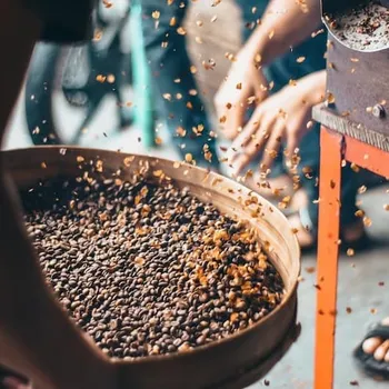 Coffee Chaff Houses: A New & Sustainable Construction Type