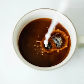 Which is the Most Environmentally Friendly Milk? Top 6 Options
