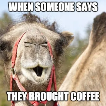 Wednesday Coffee Memes: 30+ Hilarious Hump Day Jokes