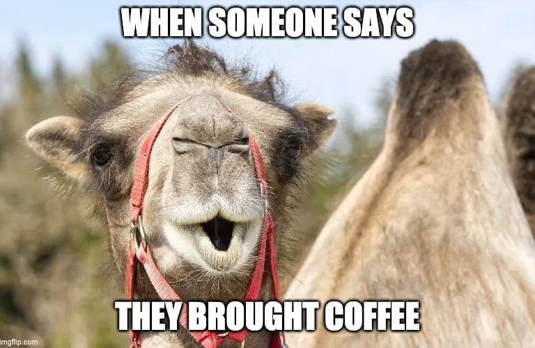 Wednesday Coffee Memes: 30+ Hilarious Hump Day Jokes