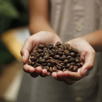 Where Do Coffee Beans Come From? The Fascinating Seed to Cup Process!