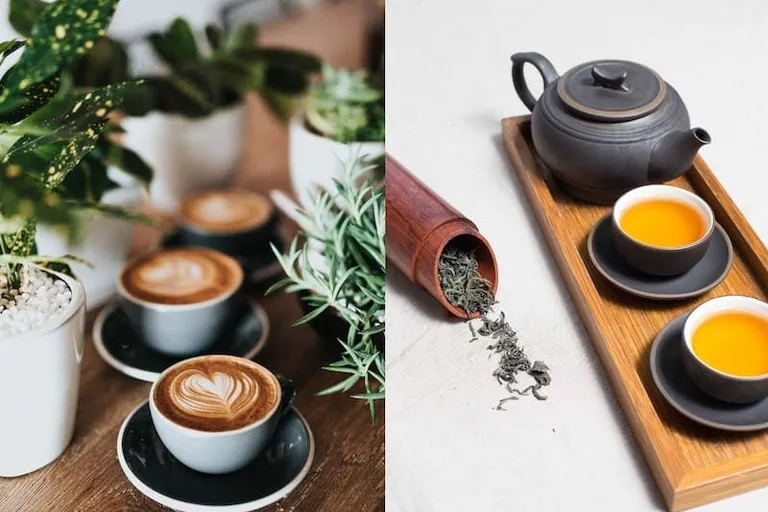 Black Tea vs Coffee: Which Has More Caffeine?
