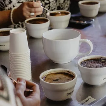 Coffee Cupping: Full Guide With Recipe, Facts & Tips