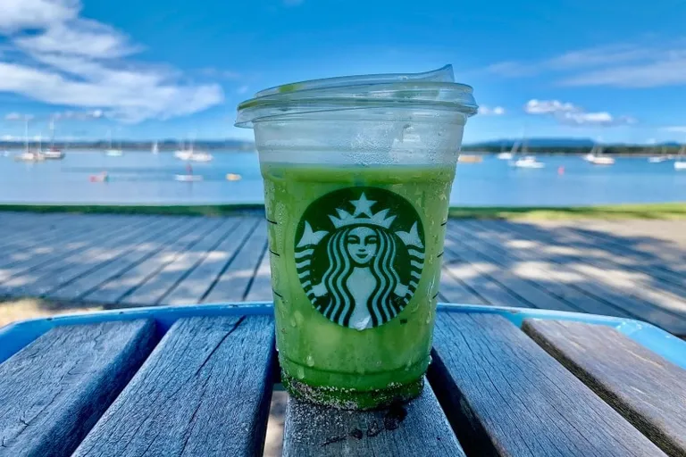 21 Best Tea at Starbucks: 2026 Options Ranked & Reviewed