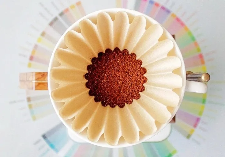 How to Make Coffee Filter Flowers (4 Easy Guides)