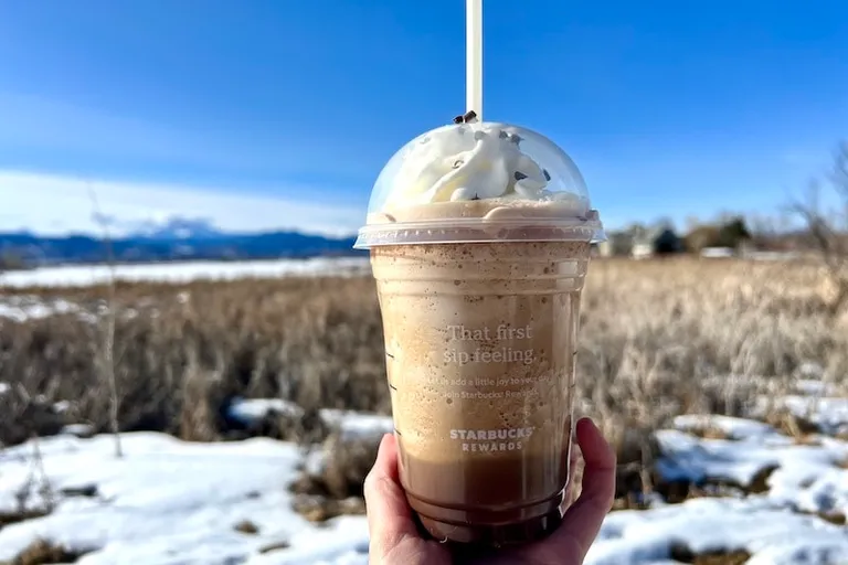 24 Best Starbucks Chocolate Drinks in 2026: Ranked & Reviewed