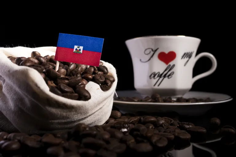 Haitian Coffee Guide: History, Flavor & Culture