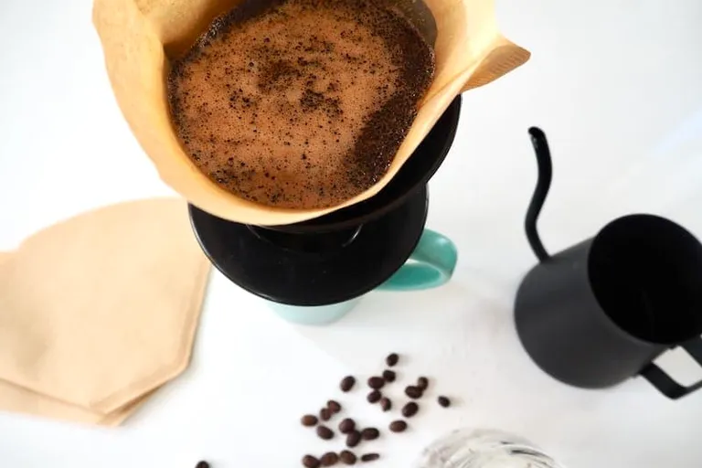 Are Coffee Filters Compostable? Types of Filters to Compost