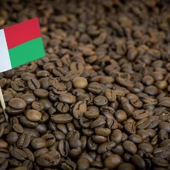 Madagascar Coffee Guide: History, Flavors & More