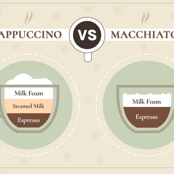 Cappuccino vs Macchiato: Main Differences Explained
