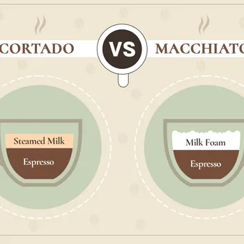 Cortado vs Macchiato: The Difference Explained