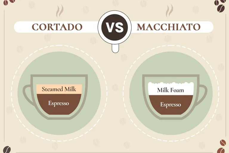 Cortado vs Macchiato: The Difference Explained