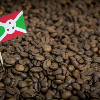 Burundi Coffee Guide: History, Flavors & Brewing Tips