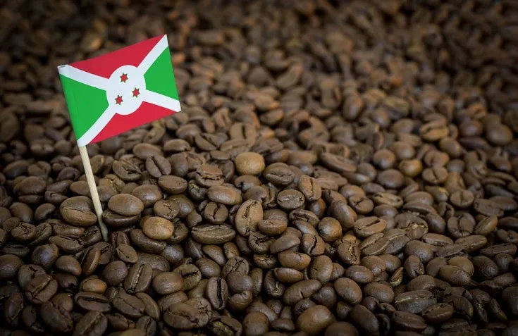 Burundi Coffee Guide: History, Flavors & Brewing Tips