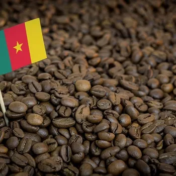 Cameroon Coffee: Amazing History & Flavors