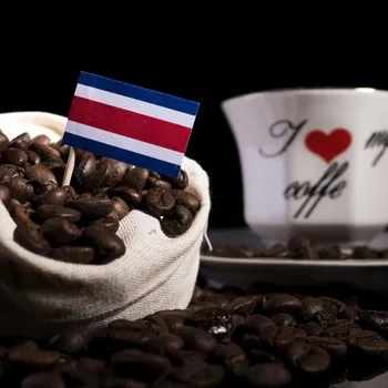 Costa Rican Coffee Guide: Beans, History & Flavor Notes