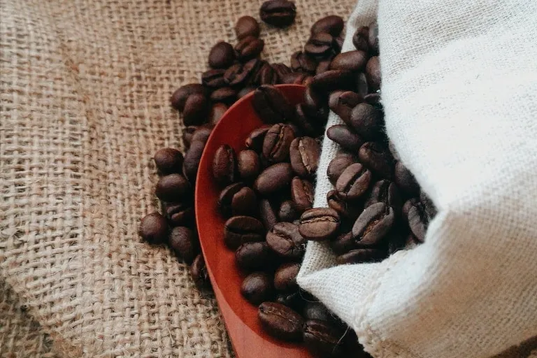 10 Best Honduran Coffees in 2026 - Reviews & Top Picks