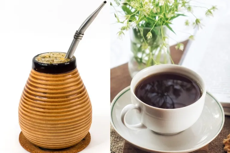 Yerba Mate vs Coffee: The Differences Explained (With Pictures)